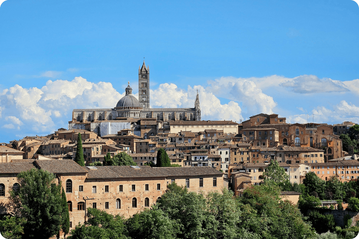 Progetto senza titolo - 2026-07-01T155012.522